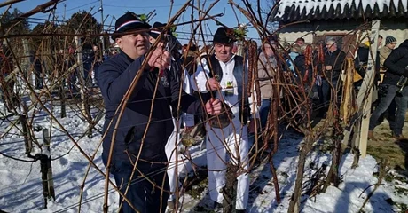 Rezidba trsova i blagoslov vinograda u Gornjem Martijancu