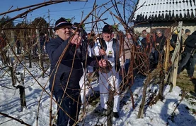 Rezidba trsova i blagoslov vinograda u Gornjem Martijancu