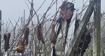 FOTO Dobra kapljica, stari običaji i druženje &bdquo;zagrijali&rdquo; zimu