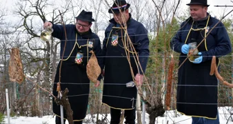 FOTO Vinogradari Trseka obilno zalijali trsove vinom