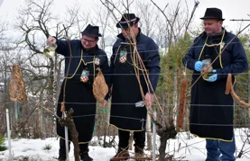 FOTO Vinogradari Trseka obilno zalijali trsove vinom