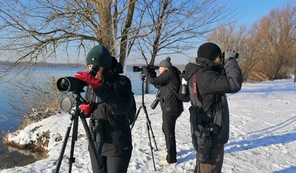 Dođite na ptičarenje &ndash; promatranje ptica uz stručno vodstvo