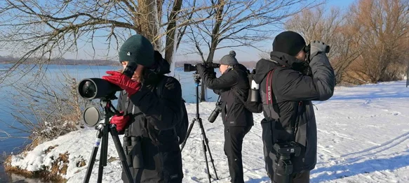 Dođite na ptičarenje &ndash; promatranje ptica uz stručno vodstvo