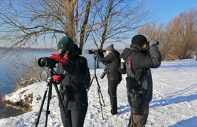 Dođite na ptičarenje &ndash; promatranje ptica uz stručno vodstvo