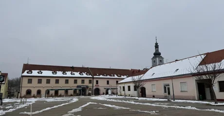 Kamionom ušao u centar Ludbrega i oštetio tlakavce &ndash; sada je saznao kaznu!