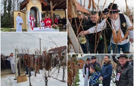 FOTO Živo je bilo u vinogradima diljem županije &ndash; prizvana još jedna dobra i rodna godina!