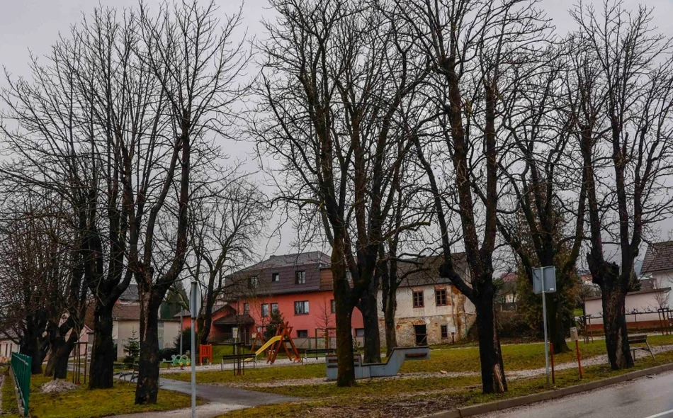 Idući tjedan uklanjanje lošeg drvoreda u Malezovoj i Varaždinskoj te kestena u Malom parku