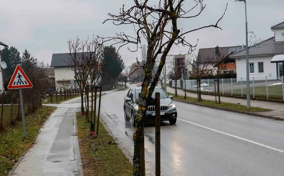 Idući tjedan uklanjanje lošeg drvoreda u Malezovoj i Varaždinskoj te kestena u Malom parku