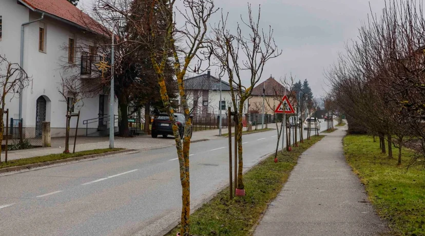 Idući tjedan uklanjanje lošeg drvoreda u Malezovoj i Varaždinskoj te kestena u Malom parku