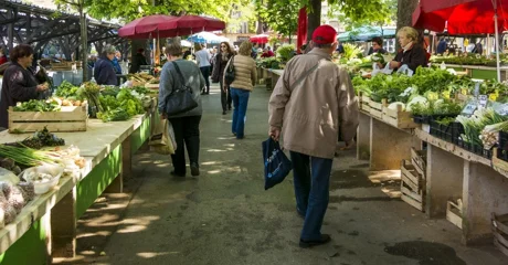 Iskoristite priliku za nabavu i razmjenu sjemenja - ne propustite sajam u Jurketincu