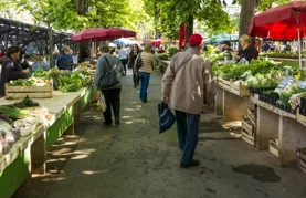 Iskoristite priliku za nabavu i razmjenu sjemenja - ne propustite sajam u Jurketincu