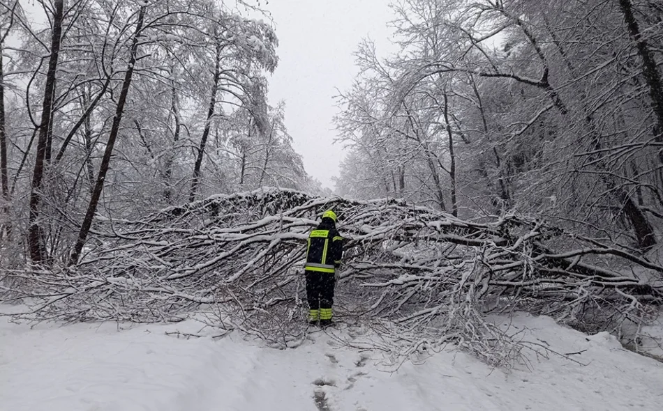 Cijela županija nakratko ostala bez struje, vatrogasci imali više od 150 intervencija