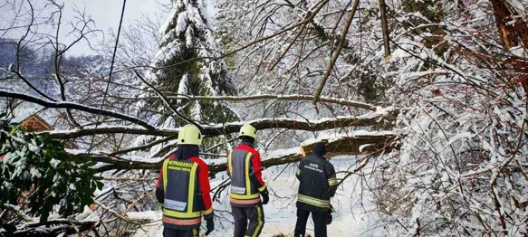 FOTO Toplički vatrogasci cijeli dan na terenu &ndash; brzim intervencijama osigurali prohodnost prometnica