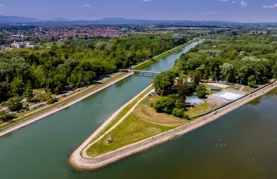 Uključite se u panel raspravu o regeneraciji Dravske park šume