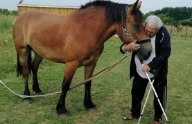 Nakon niza godina neizvjesnosti, budućnost autohtone pasmine više ne bi smjela biti upitna