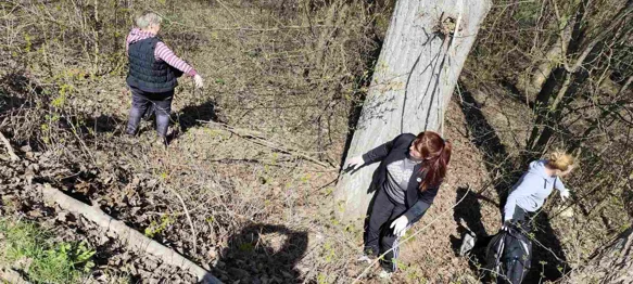 Odazovite se ekološkoj akciji na Voći