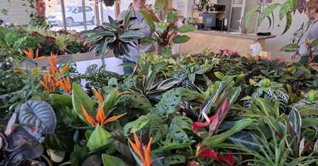 Vrtni centar Iva u Nedeljancu slavi 1. rođendan!