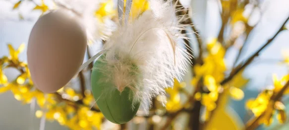 Dodjela uskrsnica za vidovečke umirovljenike i korisnike nacionalne naknade za starije osobe