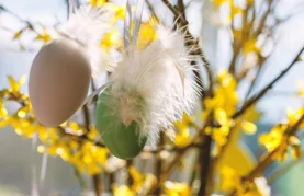 Općina Vidovec isplatila 483 uskrsnice svojim umirovljenicima