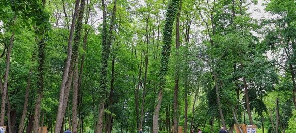 Park u Križovljangradu