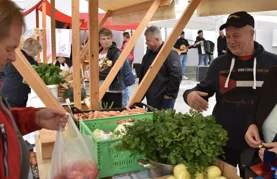 Besplatni napuhanci, živa glazba i bogata gastro ponuda. Ne propustite prvi jesenski Plac u Cestici!