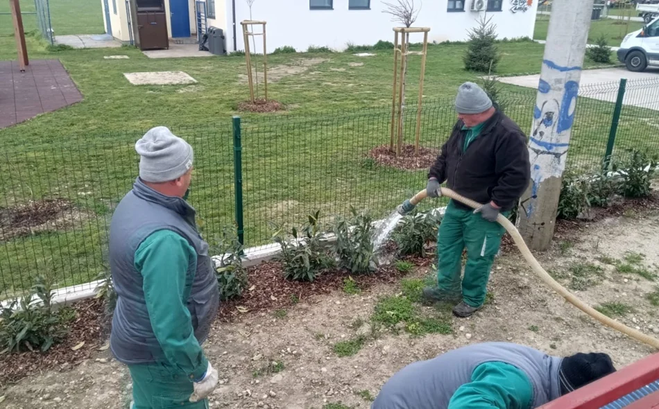 Općina Petrijanec postaje bogatija za 826 stabala i 535 sadnica grmlja na čak 18 lokacija