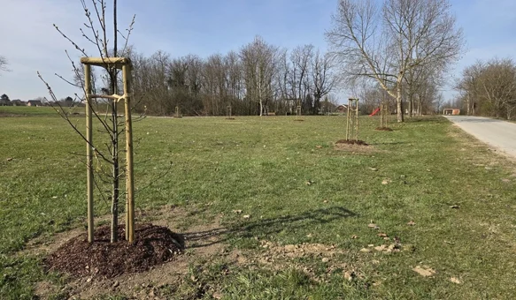 Općina Petrijanec postaje bogatija za 826 stabala i 535 sadnica grmlja na čak 18 lokacija