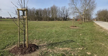 Općina Petrijanec postaje bogatija za 826 stabala i 535 sadnica grmlja na čak 18 lokacija