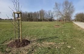 Općina Petrijanec postaje bogatija za 826 stabala i 535 sadnica grmlja na čak 18 lokacija