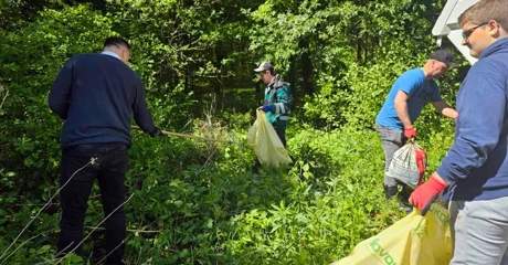 Grad Novi Marof poziva udruge, djelatnike gradskih ustanova i sve građane dobre volje da se pridruže akciji Zelena čistka