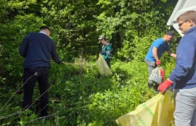 Grad Novi Marof poziva udruge, djelatnike gradskih ustanova i sve građane dobre volje da se pridruže akciji Zelena čistka