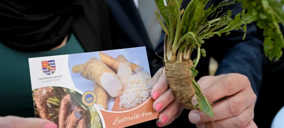 FOTO On je ljut i oštar, ali zdrav i poseban: ludbreški hren od danas motiv na poštanskim markama i razglednicama