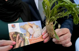 FOTO On je ljut i oštar, ali zdrav i poseban: ludbreški hren od danas motiv na poštanskim markama i razglednicama