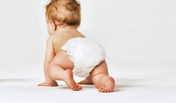 Grad Ivanec pokriva troškove zbrinjavanja pelena