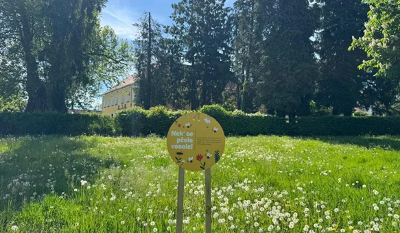 &bdquo;Nek' se pčele vesele!&rdquo; &ndash; travnjak koji cvjeta nije zapušten, već živ i koristan