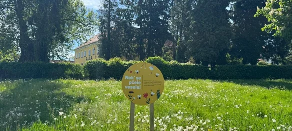 &bdquo;Nek' se pčele vesele!&rdquo; &ndash; travnjak koji cvjeta nije zapušten, već živ i koristan
