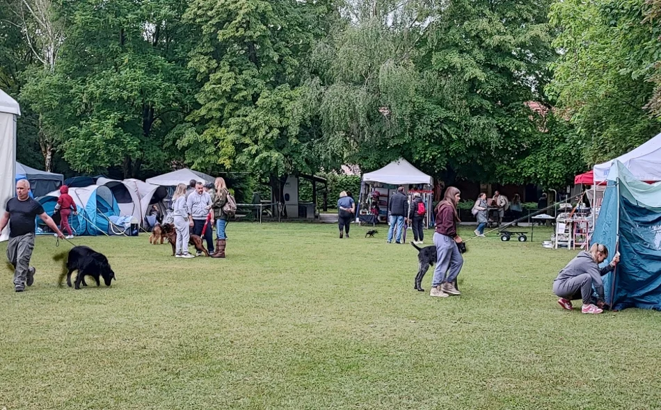 FOTO Izložba pasa okupila tisuće sudionika i posjetitelja iz cijelog svijeta