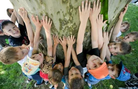 FOTO Javorolisna platana ovogodišnje je Stablo godine grada Varaždina