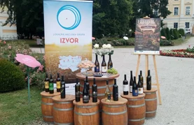 Prepustite se vinskim strastima u čarobnom ambijentu dvorca Batthy&aacute;ny
