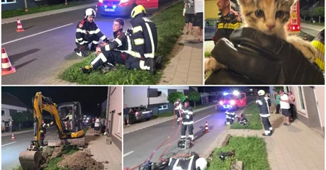 Akcija spašavanja mačića u Pribislavcu