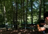 Lov, zajedništvo i druženje - pridružite se Međudruštvenom gađanju glinenih golubova