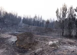 Varaždinska županija uplatila Gradu Omišu 25.000 eura za sanaciju posljedica požara