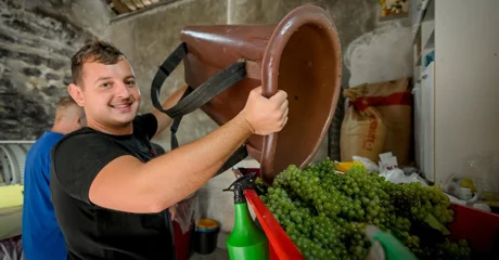 FOTO &bdquo;Iza svakog grozda i svake boce vina stoji čovjek, njegova obitelj i njihov svakodnevni rad&ldquo;