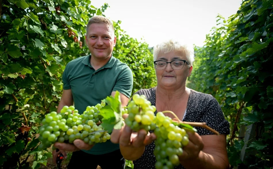 FOTO &bdquo;Iza svakog grozda i svake boce vina stoji čovjek, njegova obitelj i njihov svakodnevni rad&ldquo;