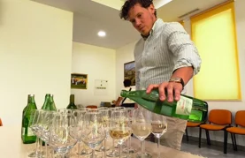 U Cestici održan Festival vinskih strasti