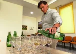 U Cestici održan Festival vinskih strasti