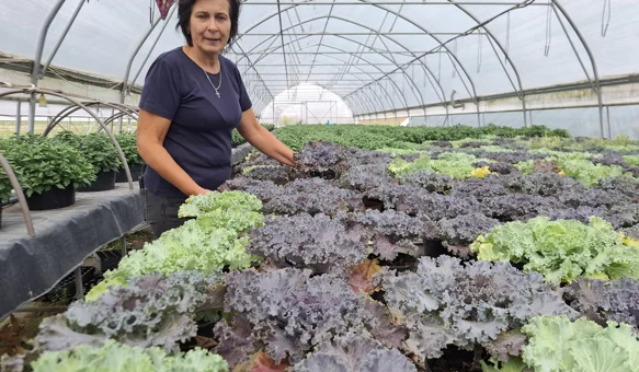 Anica Bistrović iz Nedeljanca &ndash; tiha heroina predana je radu na zemlji i očuvanju tradicije