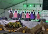 Čiselsko proščenje u Remetincu uz folklor, Remečki sajam i Zagorske igre