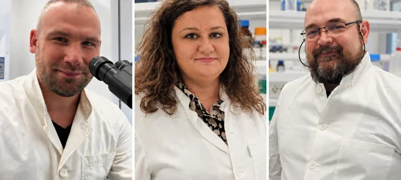 Ogroman uspjeh Sveučilišta Sjever: Tomislav Meštrović, Predrag Putnik i Dunja Šamec među 2 % najutjecajnijih znanstvenika u svijetu
