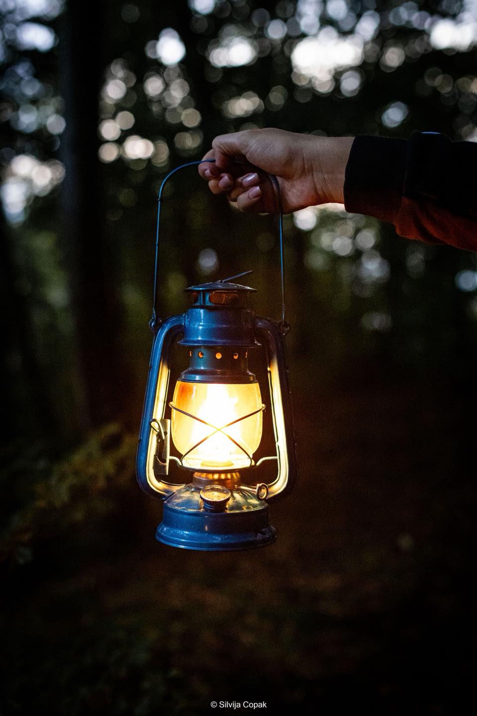 534852601 770653512014846 5539714789654454817 n